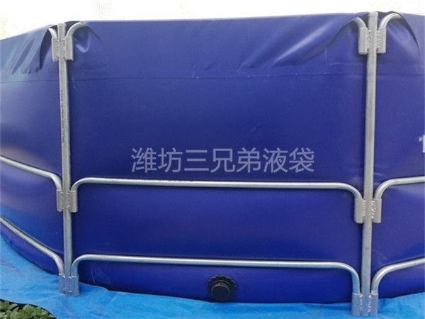 养鱼池 (6)